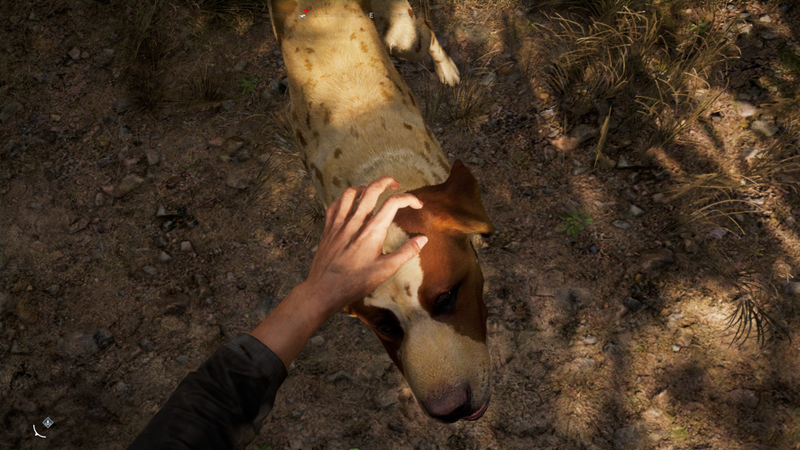 Illustration for article titled Far Cry 5 Has Some Very Good Dogs